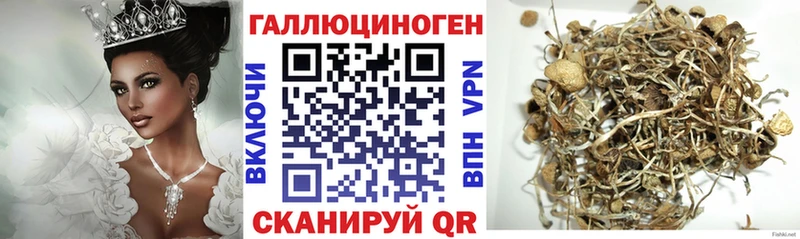 это официальный сайт  Тында  Галлюциногенные грибы GOLDEN TEACHER 