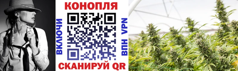 как найти   блэк спрут tor  Бошки Шишки семена  Тында 